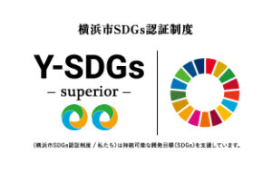 Y-SDGs